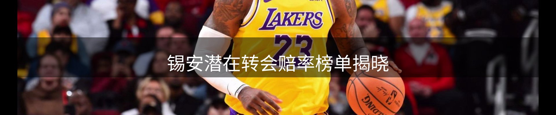 资讯总览